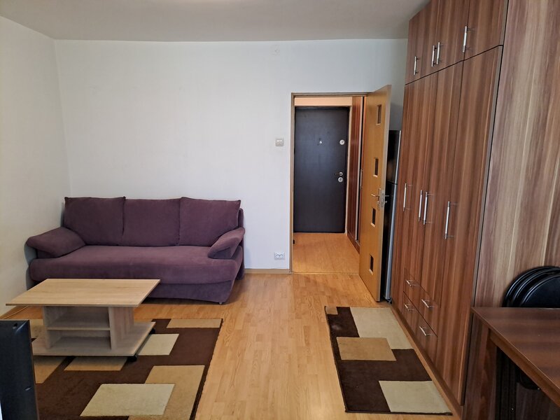 Iancului - Elev Stefanescu